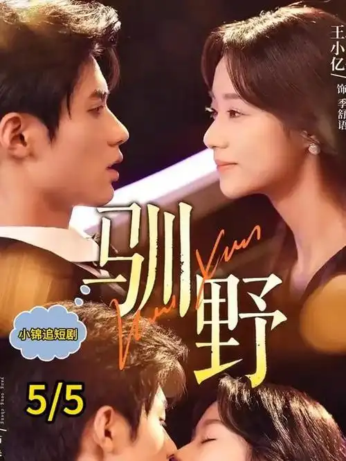 长夜将明 海报